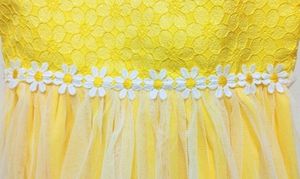 NWT Girl's Size 6 🌼🍋 Lemon Yellow Tulle Summer Dress